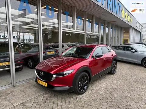 Annonce MAZDA CX-30 Hybride 2024 d'occasion 