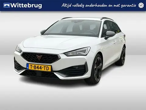 Used CUPRA LEON Petrol 2023 Ad 