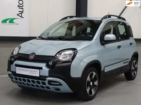 Annonce FIAT PANDA Hybride 2020 d'occasion 