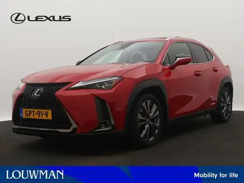 Annonce LEXUS UX Hybride 2020 d'occasion 