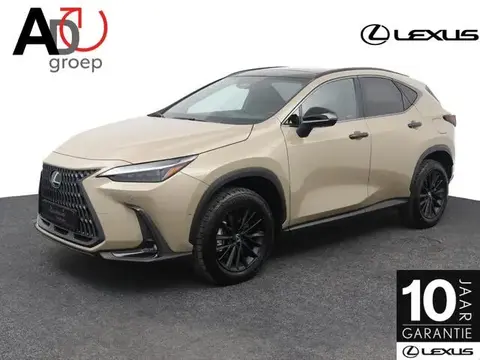 Annonce LEXUS NX Hybride 2024 d'occasion 