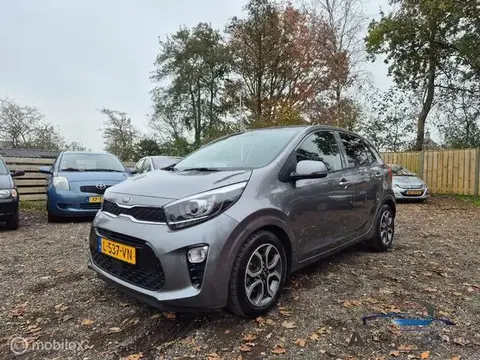 Annonce KIA PICANTO Essence 2021 d'occasion 