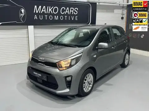 Annonce KIA PICANTO Essence 2022 d'occasion 