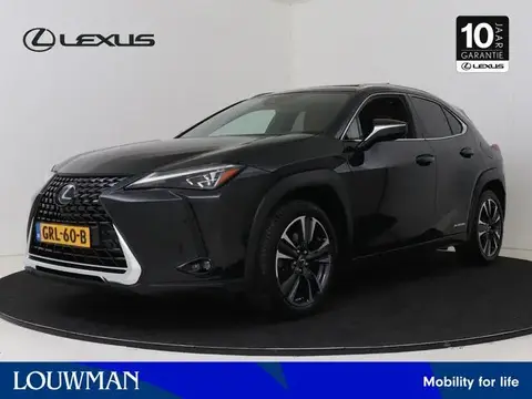 Used LEXUS UX Hybrid 2020 Ad 