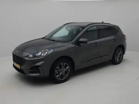 Used FORD KUGA Hybrid 2022 Ad 