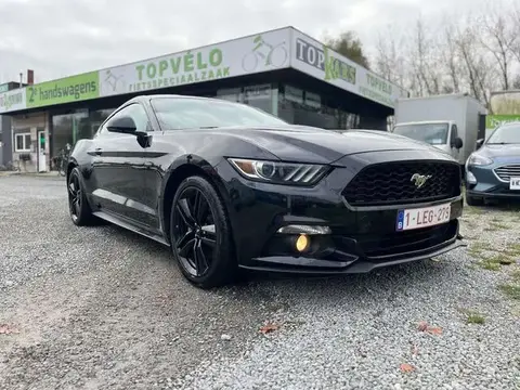 Used FORD MUSTANG Petrol 2015 Ad 