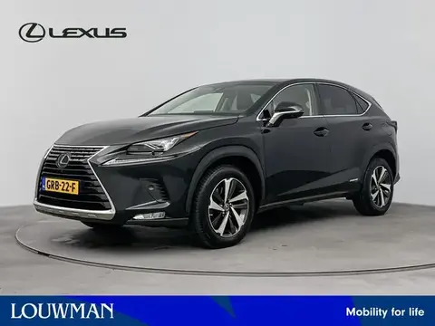 Used LEXUS NX Hybrid 2020 Ad 