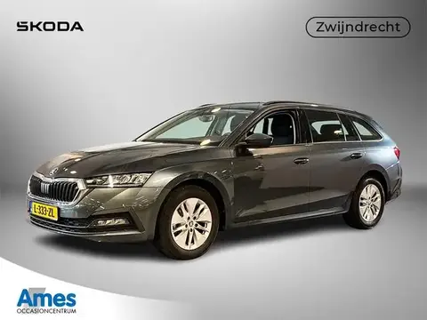 Used SKODA OCTAVIA Petrol 2021 Ad 