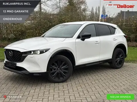 Used MAZDA CX-5 Petrol 2024 Ad 