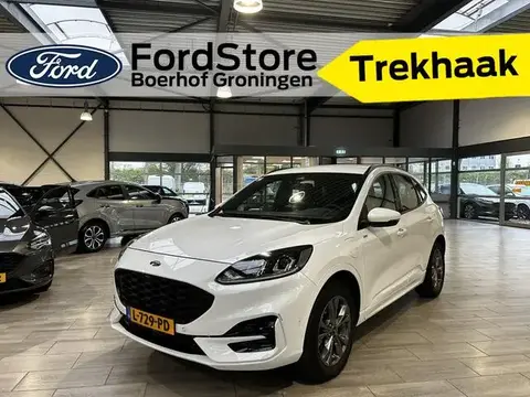 Used FORD KUGA Hybrid 2021 Ad 