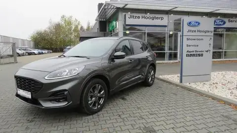 Used FORD KUGA Hybrid 2022 Ad 