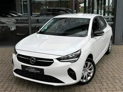 Annonce OPEL CORSA Essence 2023 d'occasion 