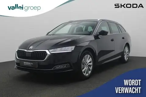 Used SKODA OCTAVIA Petrol 2024 Ad 