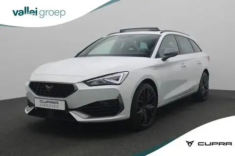 Annonce CUPRA LEON Hybride 2021 d'occasion 