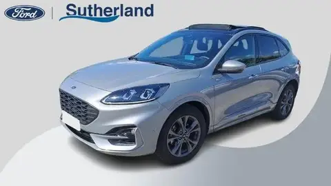 Used FORD KUGA Hybrid 2023 Ad 