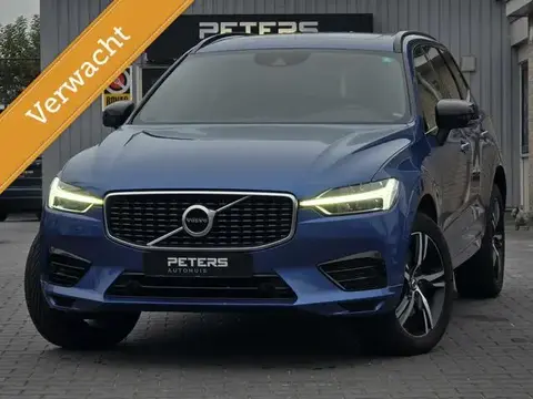 Annonce VOLVO XC60 Hybride 2019 d'occasion 