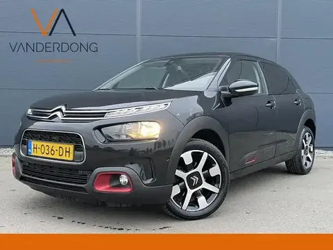 Used CITROEN C4 Diesel 2019 Ad 