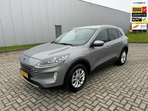 Used FORD KUGA Hybrid 2022 Ad 