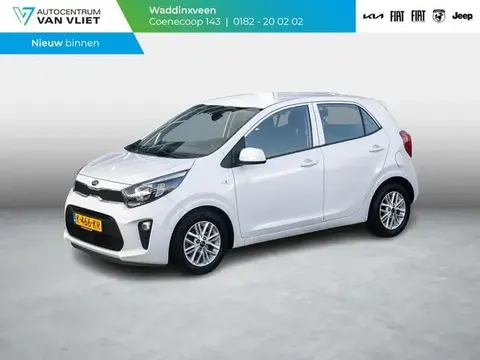 Annonce KIA PICANTO Essence 2021 d'occasion 