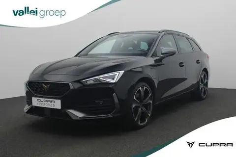 Annonce CUPRA LEON Hybride 2021 d'occasion 