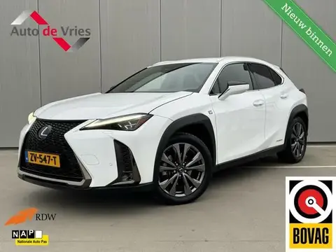 Used LEXUS UX Hybrid 2019 Ad 