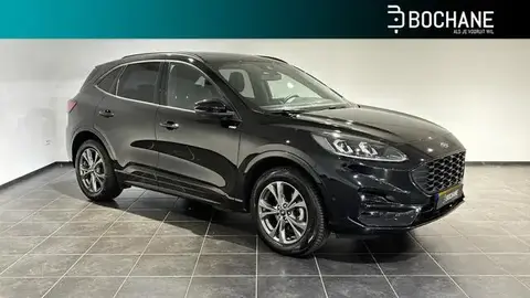 Used FORD KUGA Hybrid 2022 Ad 