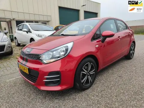 Used KIA RIO Petrol 2015 Ad 