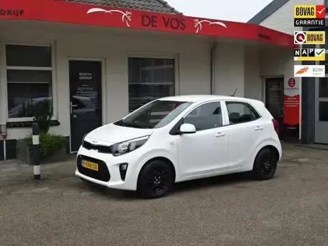 Annonce KIA PICANTO Essence 2022 d'occasion 