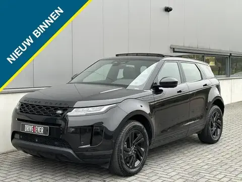 Used LAND ROVER RANGE ROVER EVOQUE Hybrid 2021 Ad 