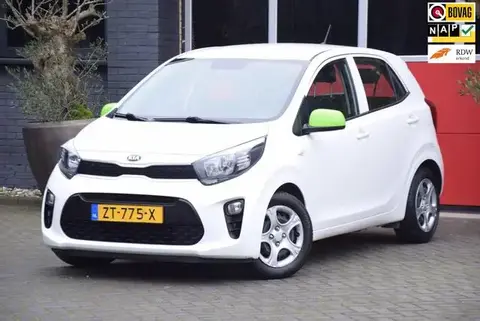 Used KIA PICANTO Petrol 2019 Ad 