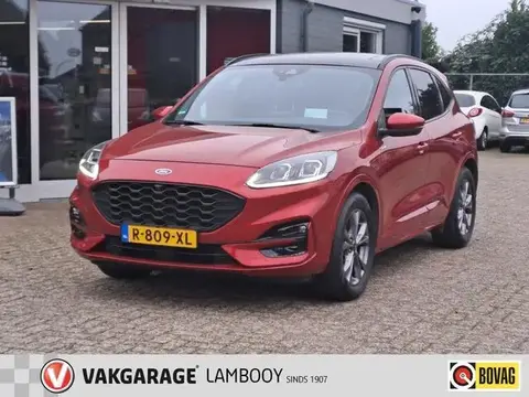 Annonce FORD KUGA Hybride 2020 d'occasion 