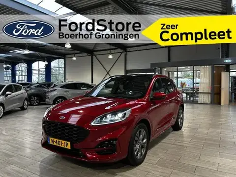 Annonce FORD KUGA Hybride 2020 d'occasion 