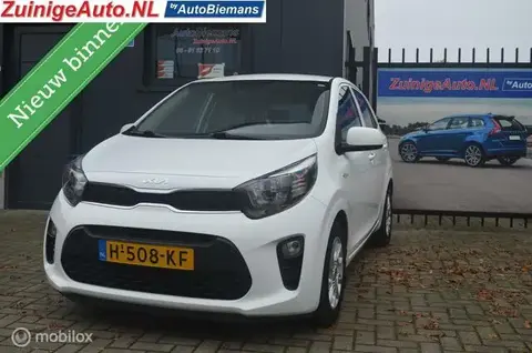 Used KIA PICANTO Petrol 2020 Ad 