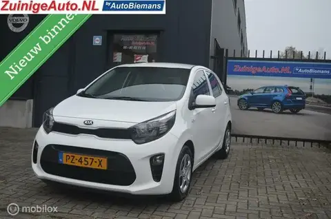 Used KIA PICANTO Petrol 2017 Ad 