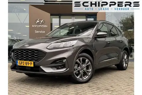 Annonce FORD KUGA Hybride 2023 d'occasion 