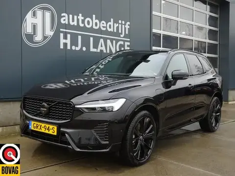 Used VOLVO XC60 Hybrid 2024 Ad 