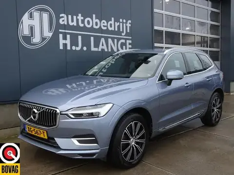 Annonce VOLVO XC60 Diesel 2019 d'occasion 