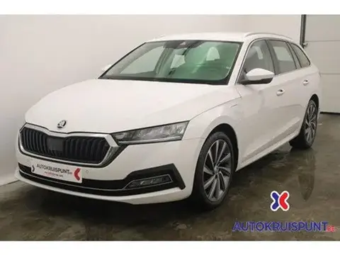 Used SKODA OCTAVIA Not specified 2021 Ad 