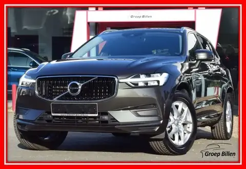 Used VOLVO XC60 Petrol 2019 Ad 