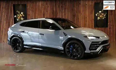 Used LAMBORGHINI URUS Petrol 2021 Ad 