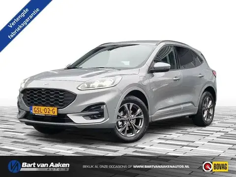 Annonce FORD KUGA Hybride 2023 d'occasion 