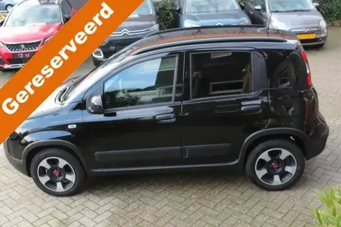 Used FIAT PANDA Petrol 2023 Ad 