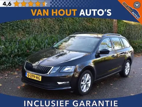 Used SKODA OCTAVIA Petrol 2019 Ad 