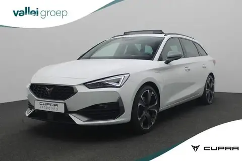 Annonce CUPRA LEON Hybride 2023 d'occasion 