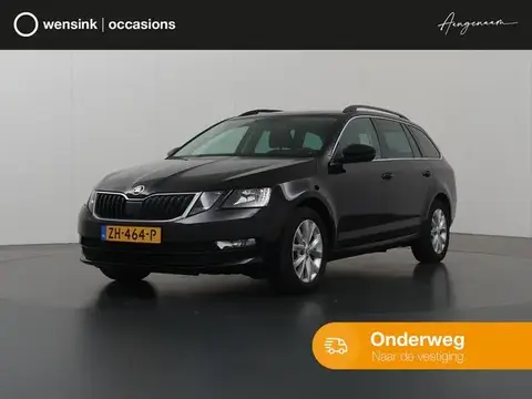 Used SKODA OCTAVIA Petrol 2019 Ad 