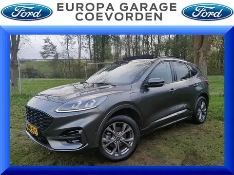 Used FORD KUGA Hybrid 2022 Ad 