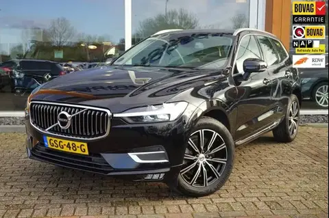 Used VOLVO XC60 Hybrid 2021 Ad 