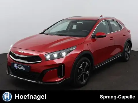 Used KIA XCEED Hybrid 2023 Ad 