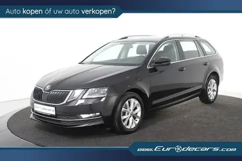 Used SKODA OCTAVIA Petrol 2019 Ad 