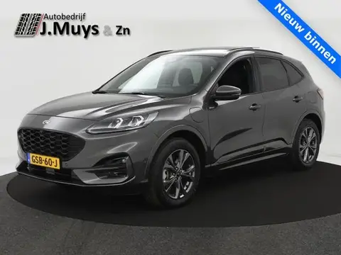 Annonce FORD KUGA Hybride 2021 d'occasion 